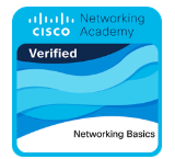 Networking Basics